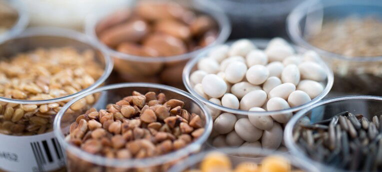 Eurofins expands European seed testing network as regulatory pressure builds