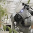Syngenta introduces robotic dog to support agronomists in the field