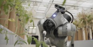 Syngenta introduces robotic dog to support agronomists in the field