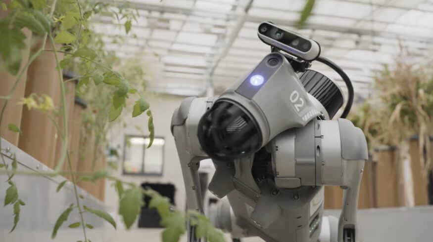 Syngenta introduces robotic dog to support agronomists in the field