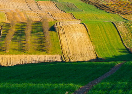 FMC wins EU approval for Isoflex herbicide to tackle resistance gap