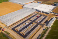 BASF invests €40 million to expand seed processing operations in Nunhem, Netherlands