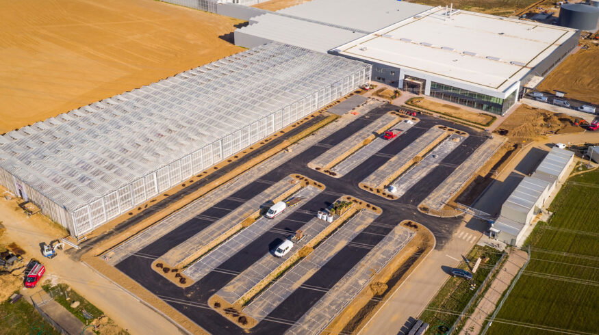 BASF invests €40 million to expand seed processing operations in Nunhem, Netherlands