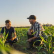 BASF, Nutrien team up to link farmers with low-carbon biofuel markets