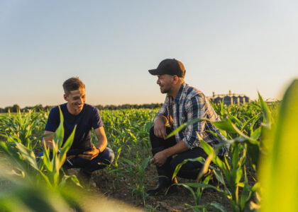 BASF, Nutrien team up to link farmers with low-carbon biofuel markets