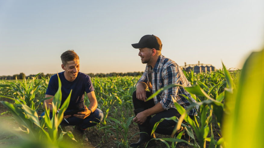 BASF, Nutrien team up to link farmers with low-carbon biofuel markets