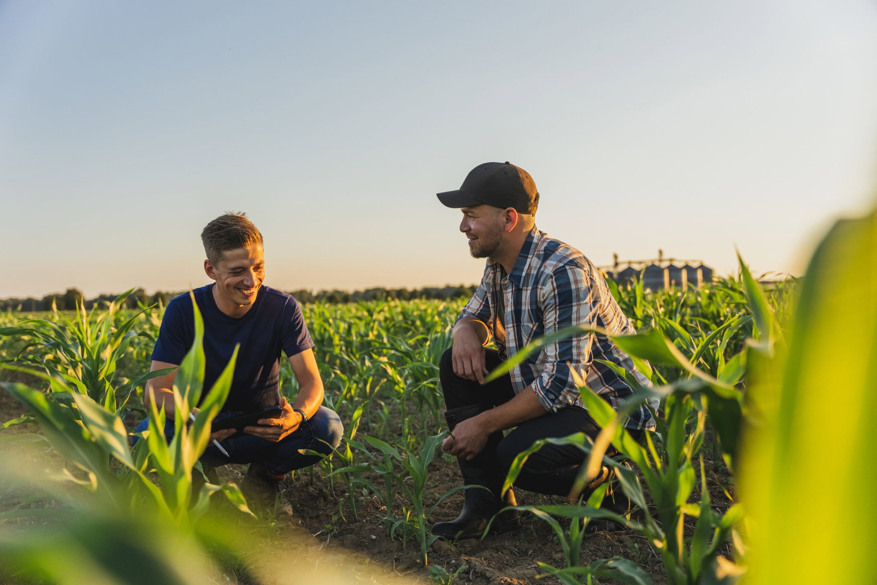 BASF, Nutrien team up to link farmers with low-carbon biofuel markets