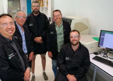 Infection sequence reshapes wheat disease risk, study finds