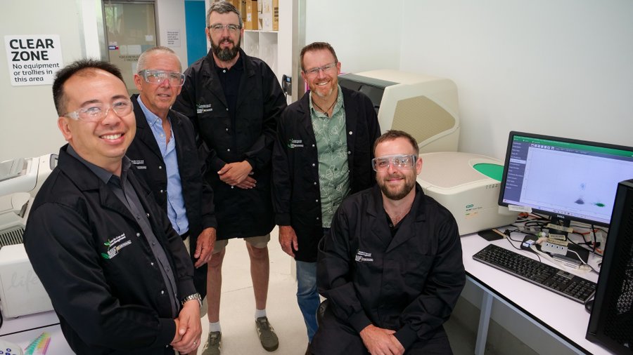 Infection sequence reshapes wheat disease risk, study finds