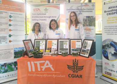 IITA and Bayer expand crop-breeding partnership in sub-Saharan Africa
