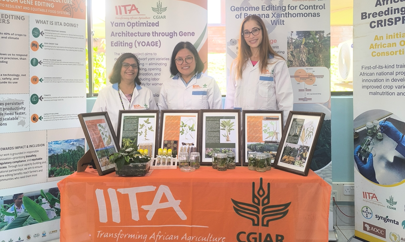 IITA and Bayer expand crop-breeding partnership in sub-Saharan Africa