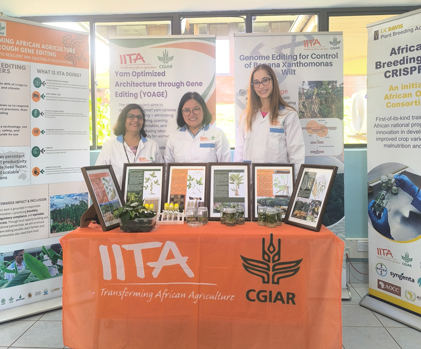 IITA and Bayer expand crop-breeding partnership in sub-Saharan Africa