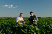 USDA announces $275 million specialty crop funding boost