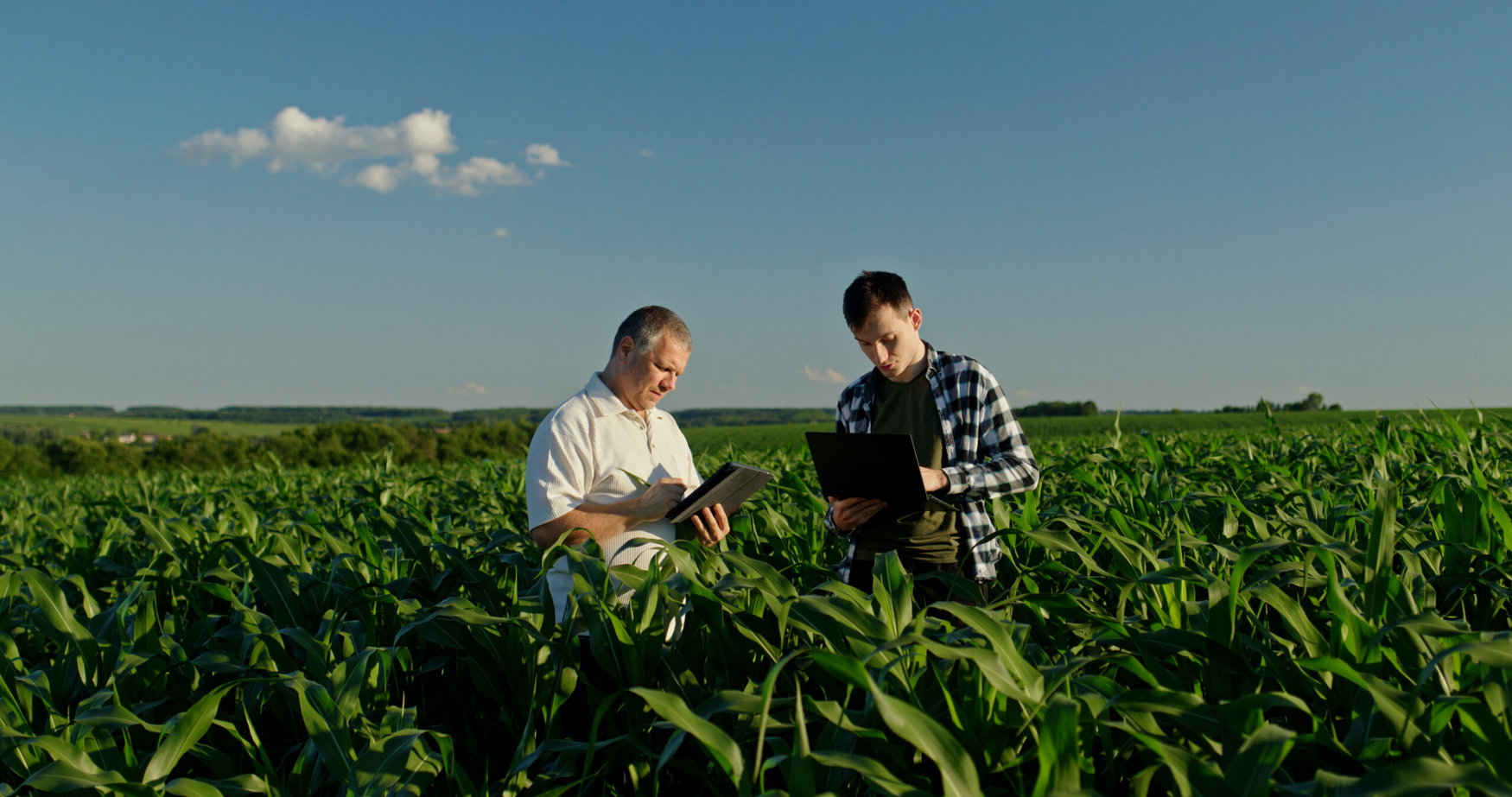 USDA announces $275 million specialty crop funding boost