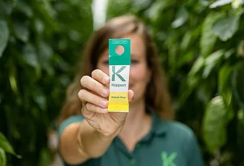 Koppert advances biological fungicide for powdery mildew control toward market approval