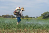Mexican farmers seek tariff relief on Chinese fertilizers as supply risks mount