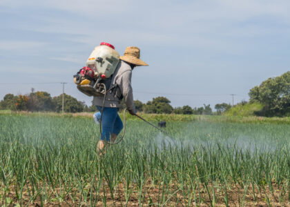 Mexico farmers seek tariff relief on Chinese fertilizers as supply risks mount