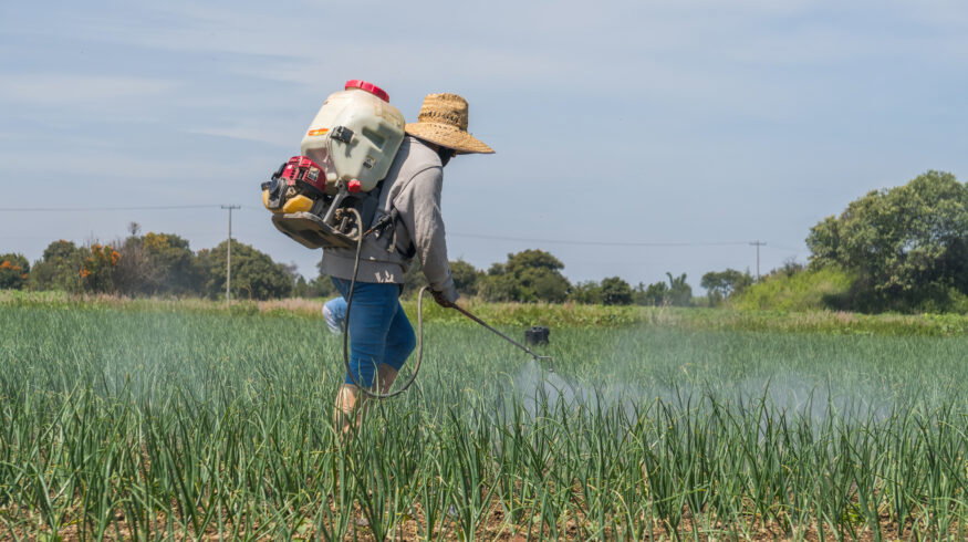 Mexico farmers seek tariff relief on Chinese fertilizers as supply risks mount