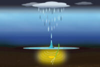 MIT study: rice seeds germinate faster when exposed to rainfall sounds