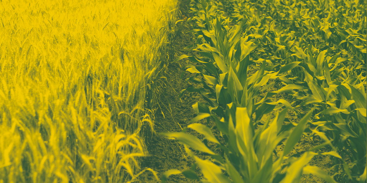 MustGrow to shut Canadian unit, shift focus to U.S. biofertility market