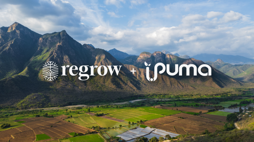 Regrow Ag merges with PUMA to unify farm data and supply chain compliance