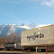 Syngenta reports stronger margins and cash flow despite flat 2025 sales