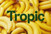 Tropic wins regulatory clearance for gene-edited banana in Japan and Brazil