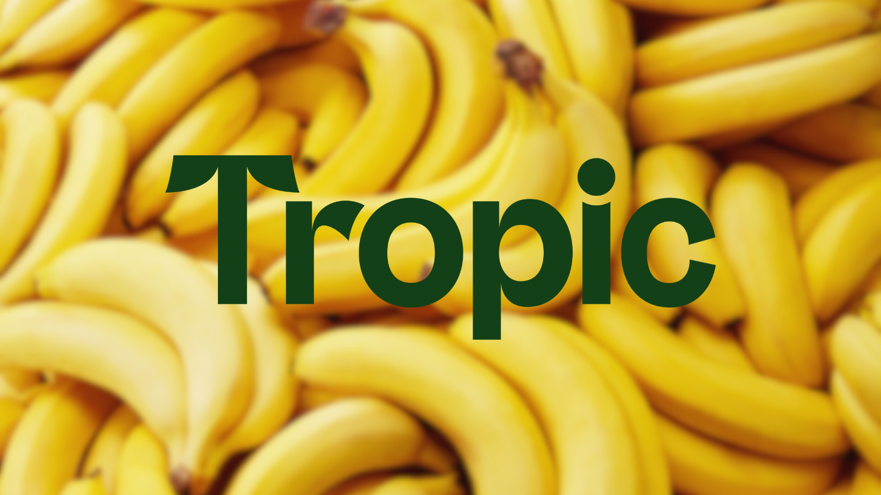 Tropic wins regulatory clearance for gene-edited banana in Japan and Brazil