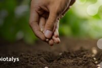 Biotalys raises €12.05M from existing investors to advance protein-based biofungicide pipeline
