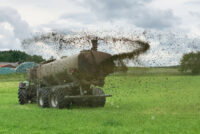 Farmers worldwide turn to manure and urine as synthetic nitrogen prices surge