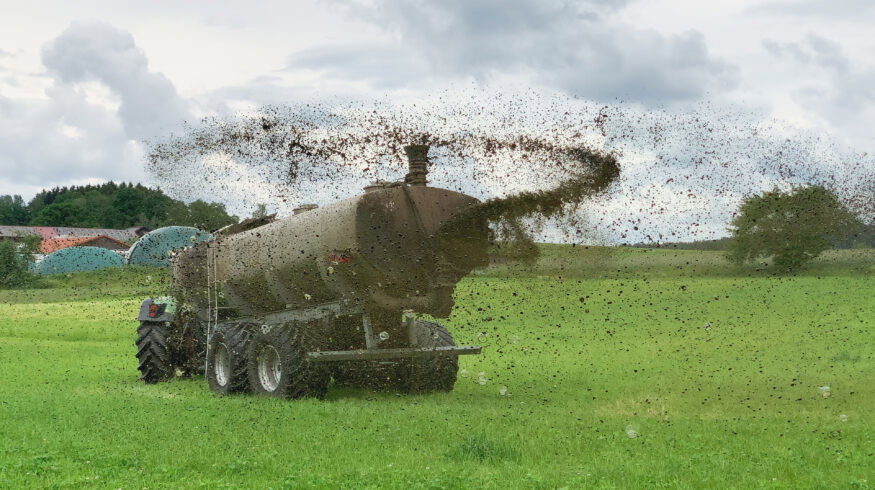 Farmers worldwide turn to manure and urine as synthetic nitrogen prices surge
