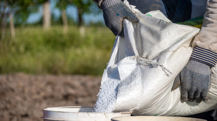 Urea drops 19% from monthly peak but remains 22% above year-ago levels