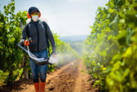 University of Waterloo researchers developed a nanotechnology-based pesticide spray that reduces runoff and enhances crop adhesion
