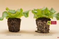 Arevo introduces Arginex to tackle nitrogen loss in peat-free substrates