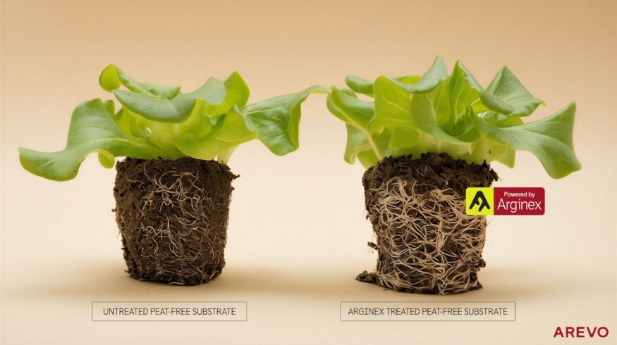 Arevo introduces Arginex to tackle nitrogen loss in peat-free substrates