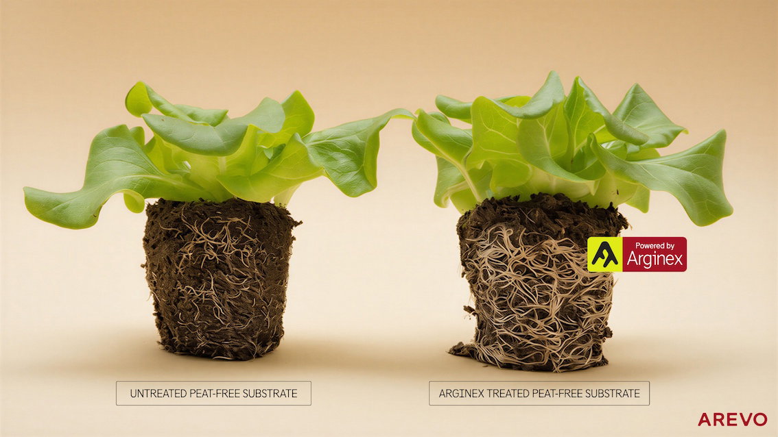 Arevo introduces Arginex to tackle nitrogen loss in peat-free substrates