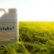 Ascribe Bio and Corteva target seed-treatment biologicals with Phytalix collaboration