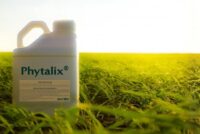 Ascribe Bio and Corteva target seed-treatment biologicals with Phytalix collaboration