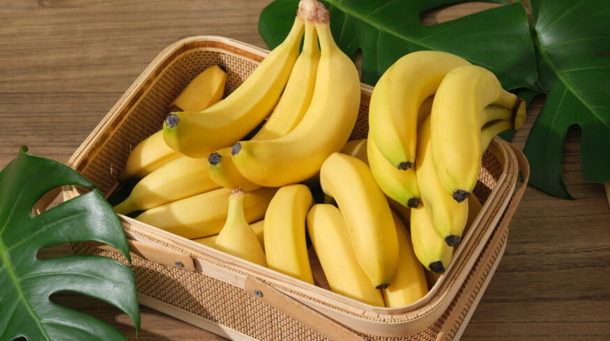 Tropic raises $105M to scale gene-edited bananas and deploy TR4-resistant varieties from 2027
