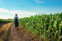 EIB and BNP Paribas Leasing Solutions unlock €200 million to finance EU agriculture and bioeconomy SMEs