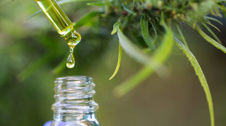 Scientists say cannabis leaves contain rare compounds with medical benefits