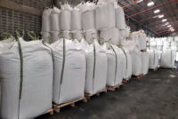 Egypt’s NCIC issues May/June fertilizer tender with DAP at $915–917/t FOB