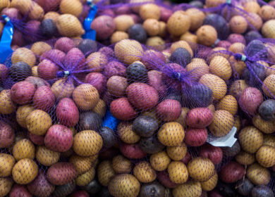 Peru defines rules for gene-edited crops under GMO moratorium
