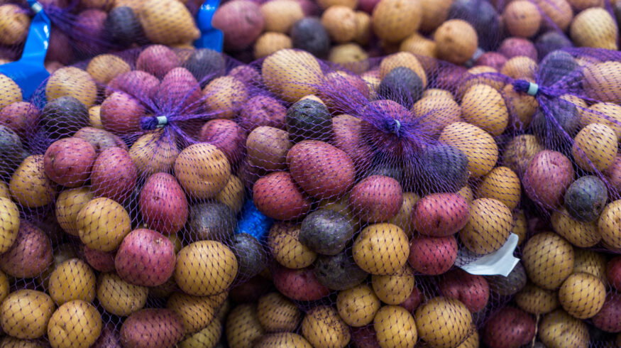 Peru defines rules for gene-edited crops under GMO moratorium