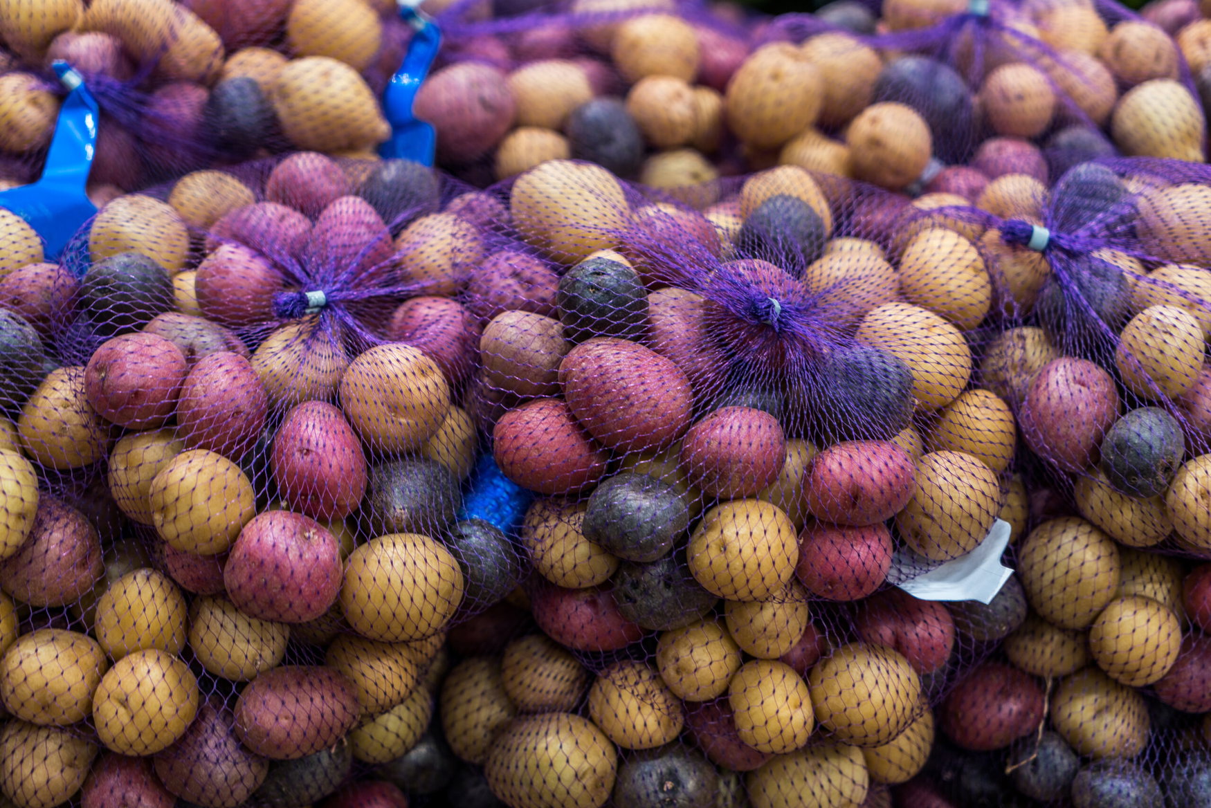 Peru defines rules for gene-edited crops under GMO moratorium