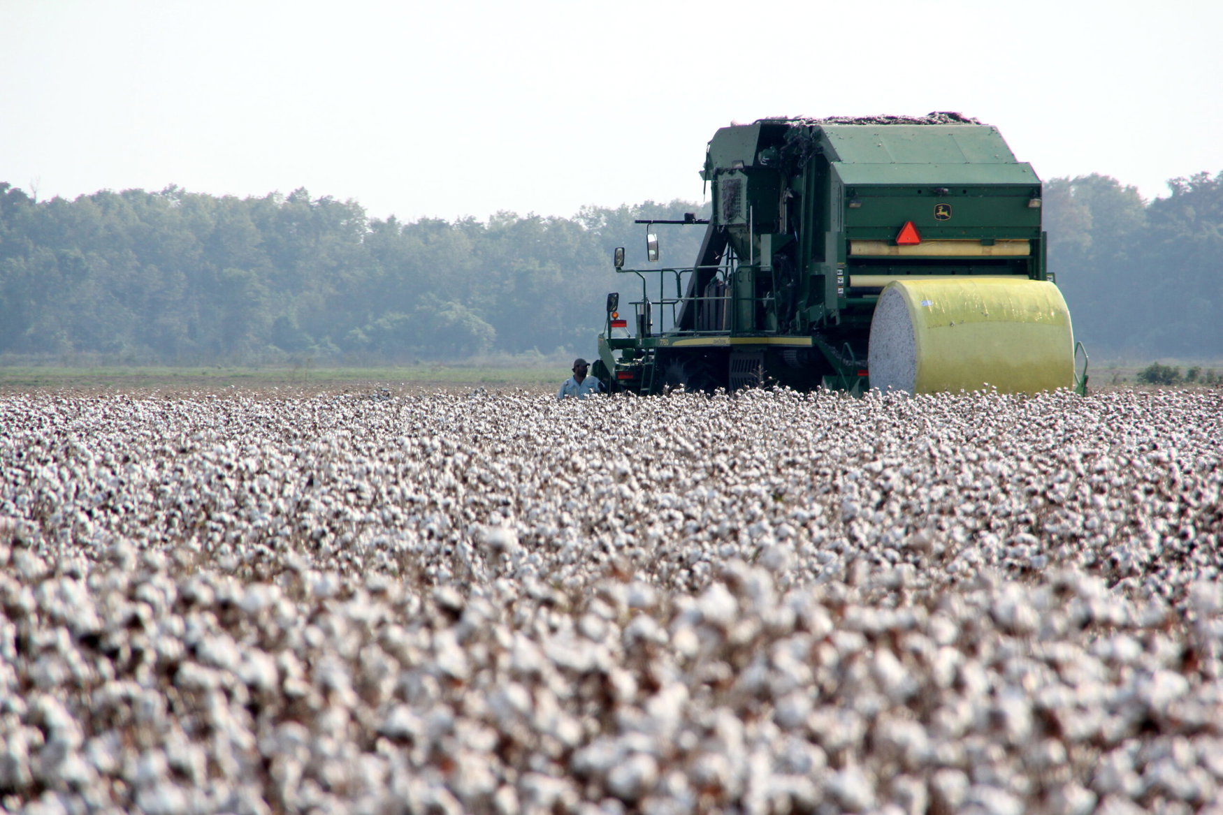 USDA unveils Great American Cotton Plan to boost farm profitability and revive domestic textile industry