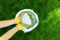 Sulphuric acid tops $500 per tonne as Hormuz closure tightens phosphate fertilizer production inputs globally