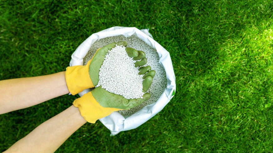 Sulphuric acid tops $500 per tonne as Hormuz closure tightens phosphate fertilizer production inputs globally