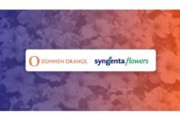 Syngenta divests its Flowers business into a joint venture with Dümmen Orange