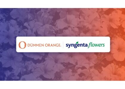 Syngenta divests its Flowers business into a joint venture with Dümmen Orange